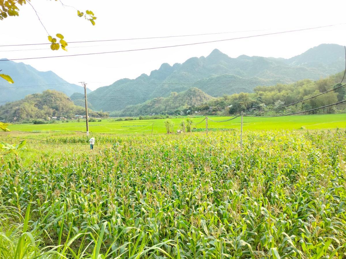 Truong Huy Homestay Mai Châu Bagian luar foto