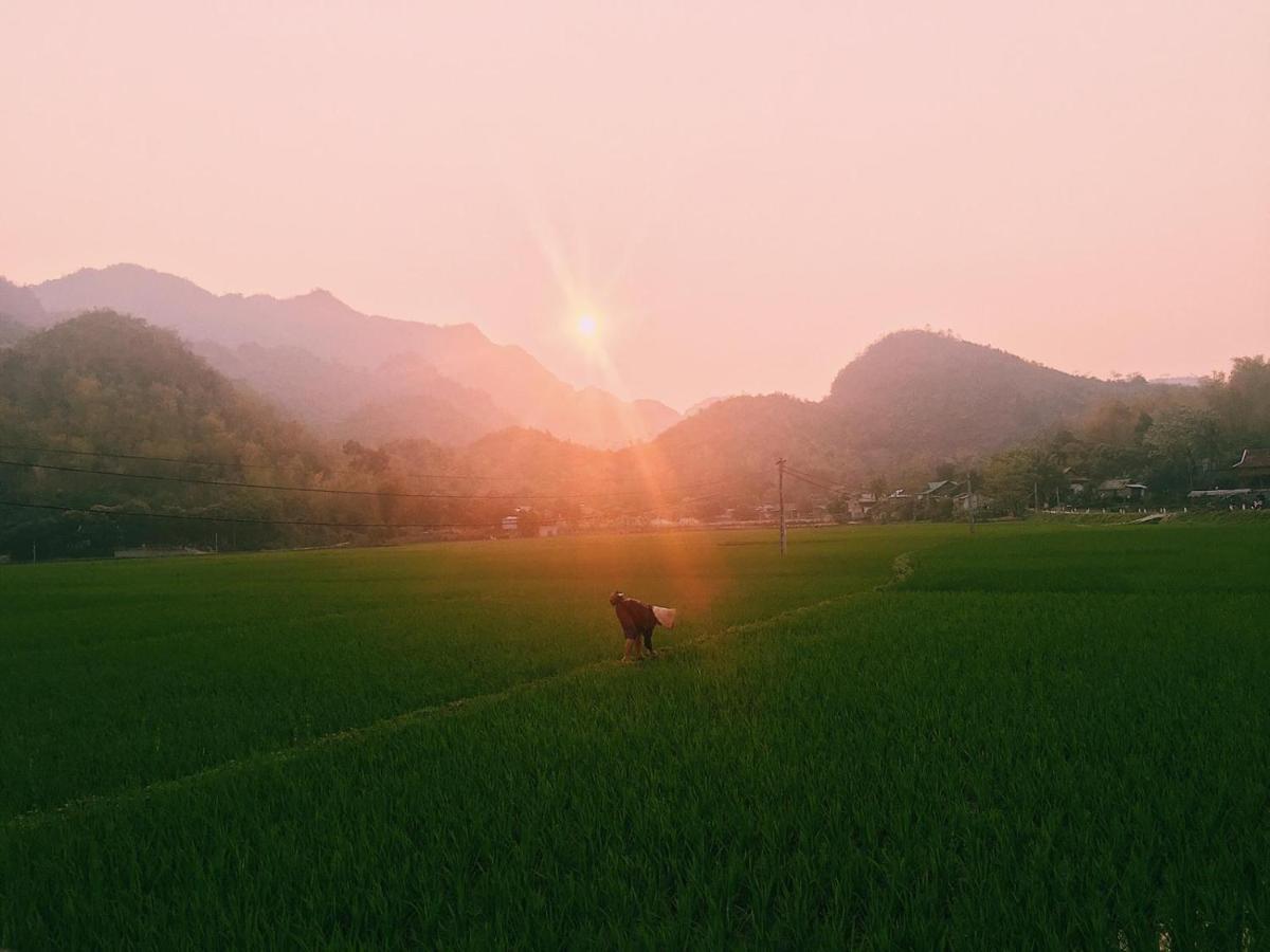 Truong Huy Homestay Mai Châu Bagian luar foto
